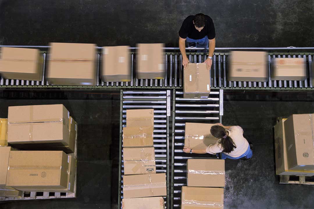 Warehouse employees organizing cardboard boxes moving on a conveyor belt in a distribution warehouse. model distribusi sales